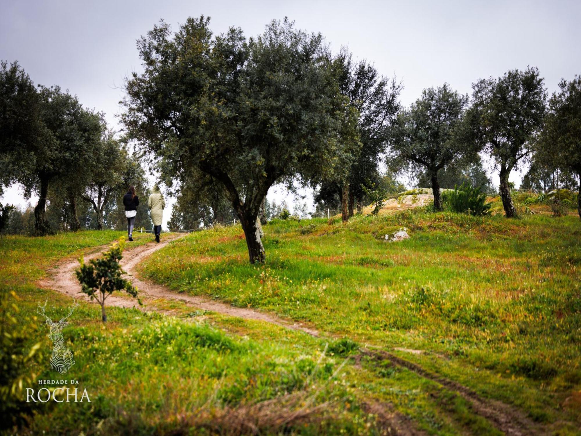 Herdade Da Rocha - Boutique Lodge Crato Kültér fotó