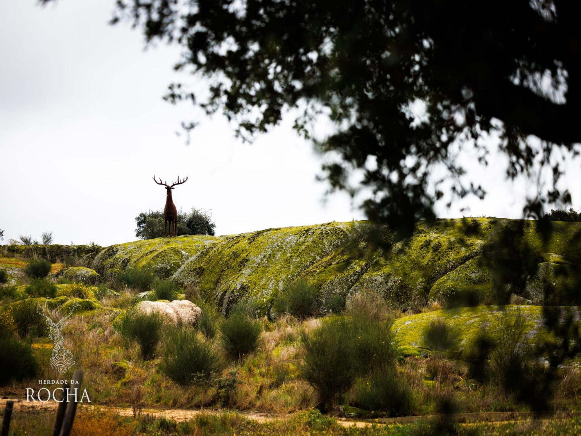 Herdade Da Rocha - Boutique Lodge Crato Kültér fotó